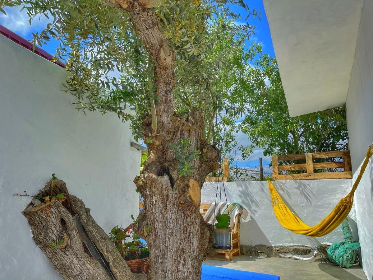 Casa Rico Frade Garden Hotel São Pedro do Corval Exterior photo