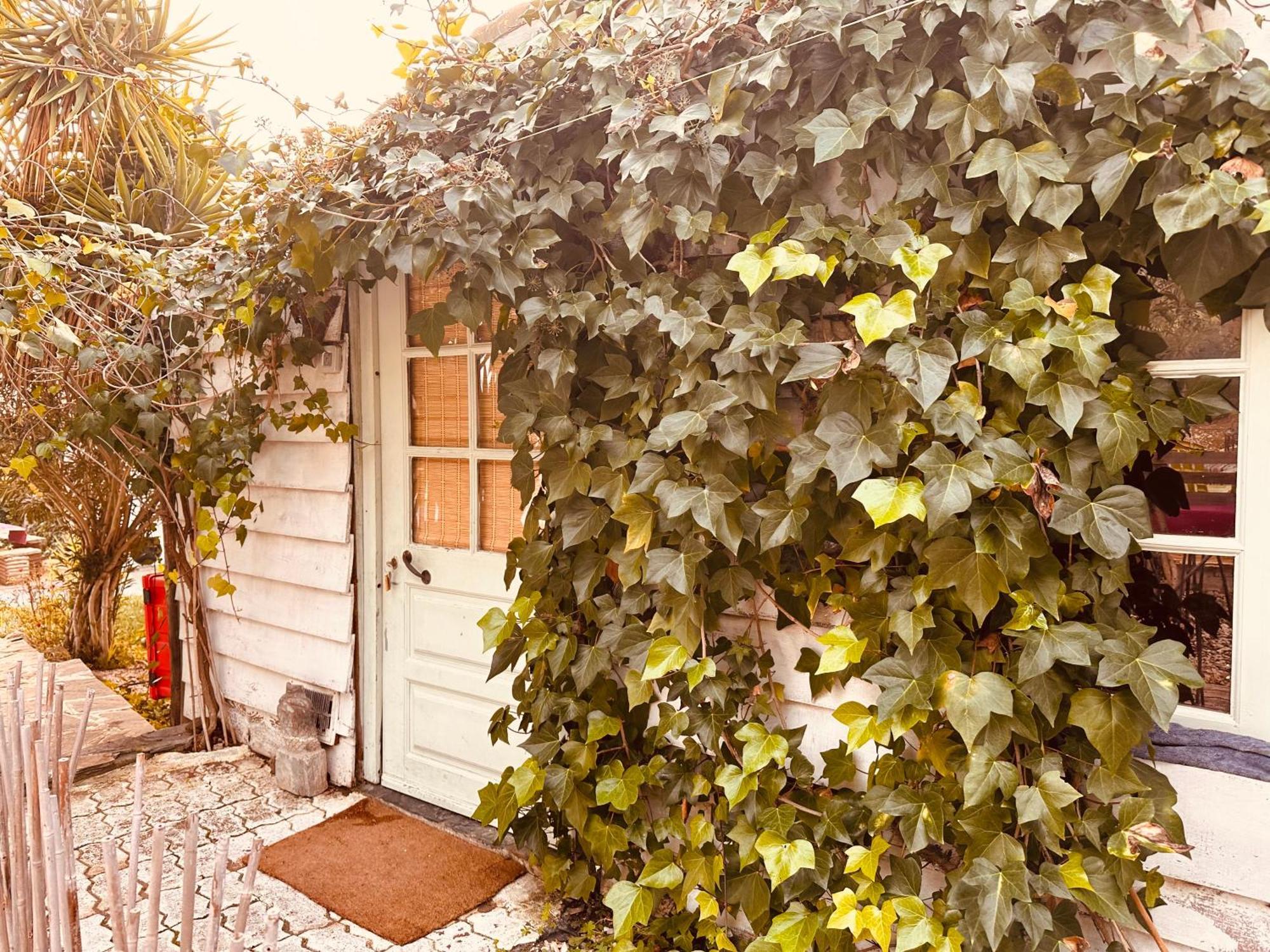 Casa Rico Frade Garden Hotel São Pedro do Corval Exterior photo